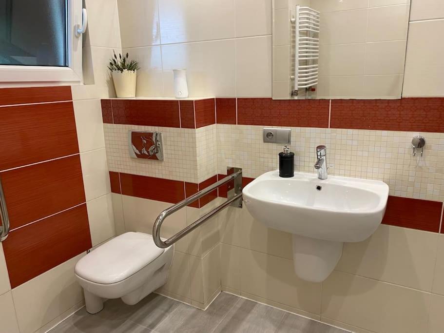 4 Bedroom Family House With Access To A Hot Tub Гочалковице-Здруй Экстерьер фото